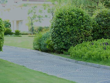 Devis chemin d'accès